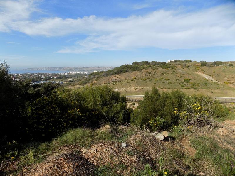 0 Bedroom Property for Sale in Menkenkop Western Cape